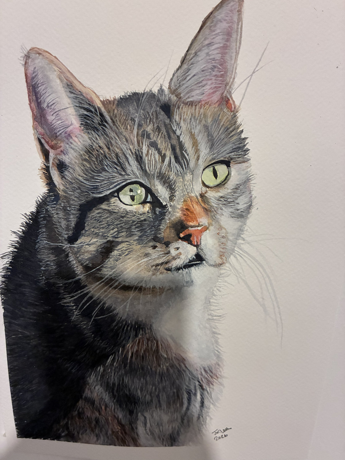 Watercolour portrait of Leah, a tabby-and-white cat with green eyes.