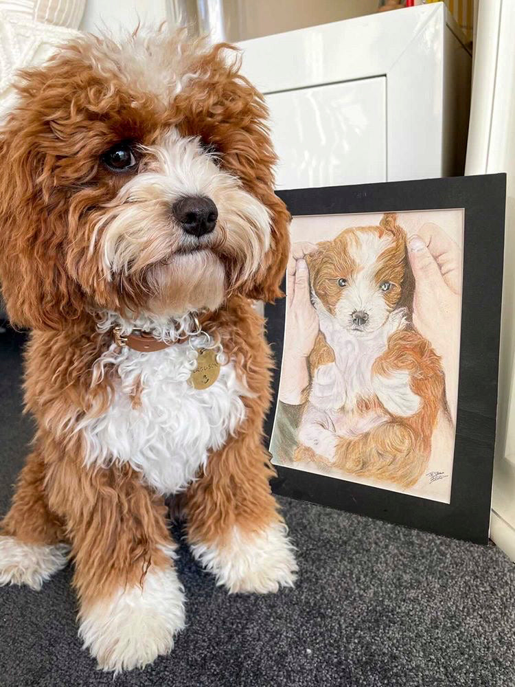 Brown-and-white dog sitting beside its framed portrait; framing costs extra.