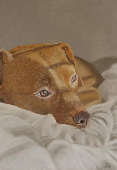 Custom Pet Portrait, Made Just for You