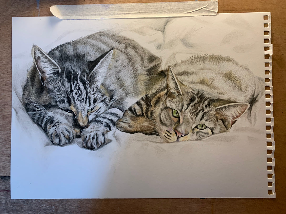 Custom Pet Portrait, Made Just for You