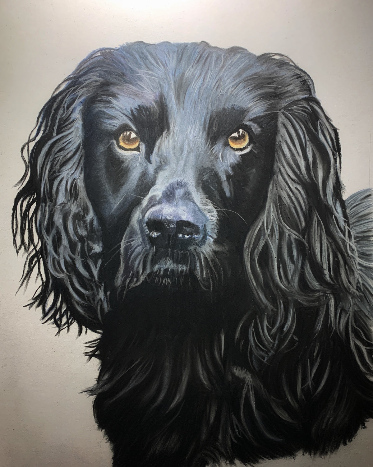 Hand-drawn portrait of a black spaniel with golden eyes, an example of previous commissioned artwork.