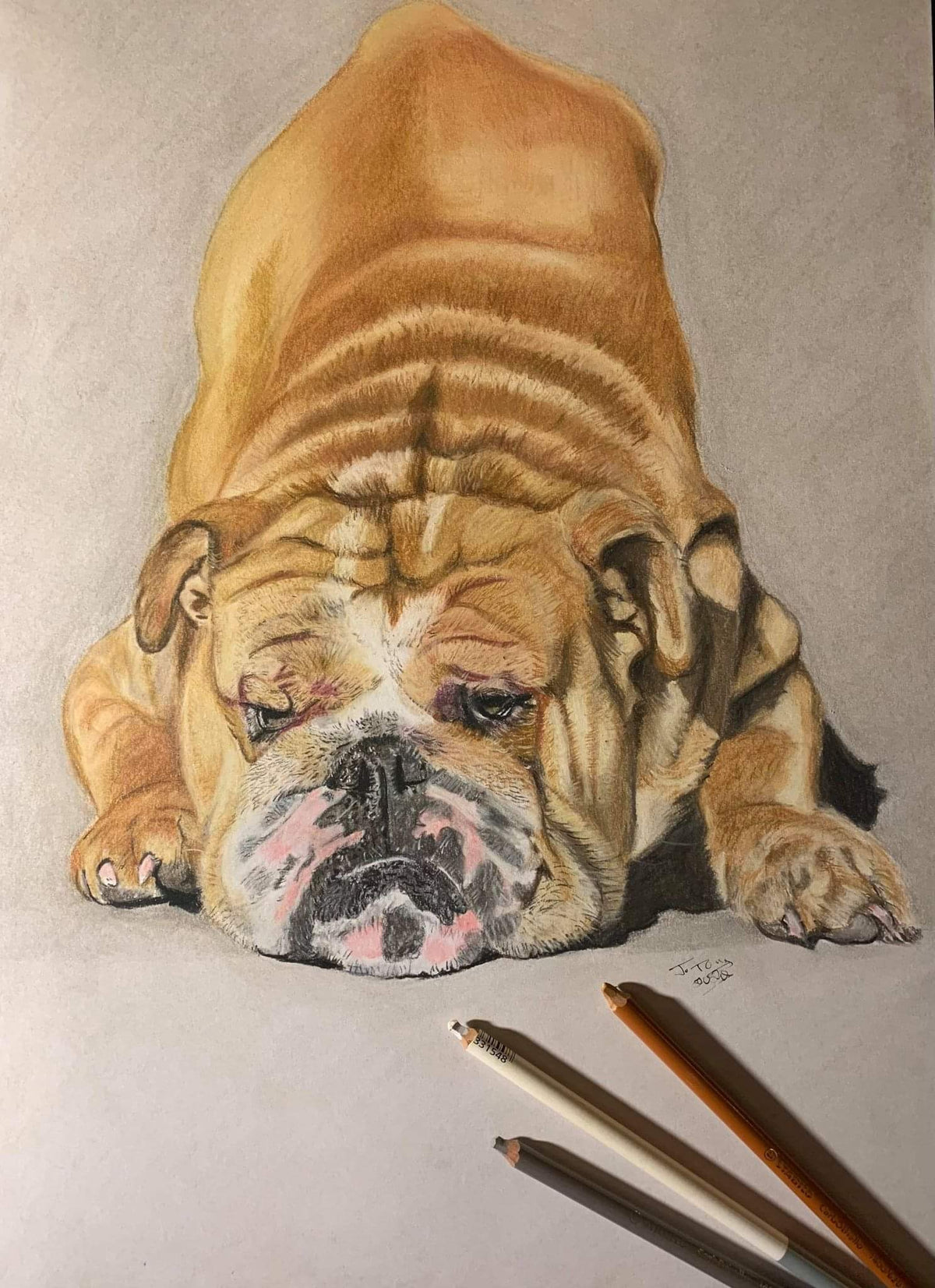 Hand-drawn portrait of a resting bulldog with drawing pencils beside the artwork.